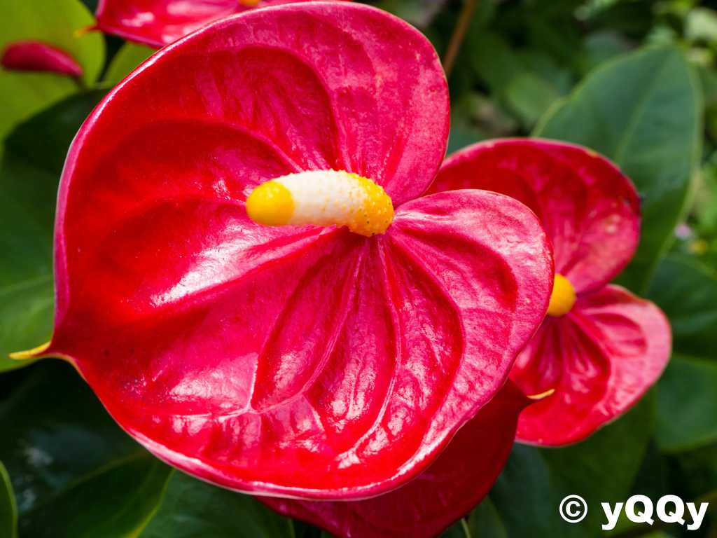 ラブラブハート♪